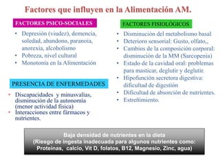 Factores que influyen en la Alimentación AM.
FACTORES PSICO-SOCIALES FACTORES FISIOLÓGICOS
• Depresión (viudez), demencia,
soledad, abandono, paranoia,
anorexia, alcoholismo
• Pobreza, nivel cultural
• Monotonía en la Alimentación
• Disminución del metabolismo basal
• Deterioro sensorial: Gusto, olfato,,
• Cambios de la composición corporal:
disminución de la MM (Sarcopenia)
• Estado de la cavidad oral: problemas
para masticar, deglutir y deglutir.
• Hipofunción secretora digestiva:
dificultad de digestión
• Dificultad de absorción de nutrientes.
• Estreñimiento.
PRESENCIA DE ENFERMEDADES
• Discapacidades y minusvalías,
disminución de la autonomía
(menor actividad física)
• Interacciones entre fármacos y
nutrientes.
Baja densidad de nutrientes en la dieta
(Riesgo de ingesta inadecuada para algunos nutrientes como:
Proteínas, calcio, Vit D, folatos, B12, Magnesio, Zinc, agua)
 