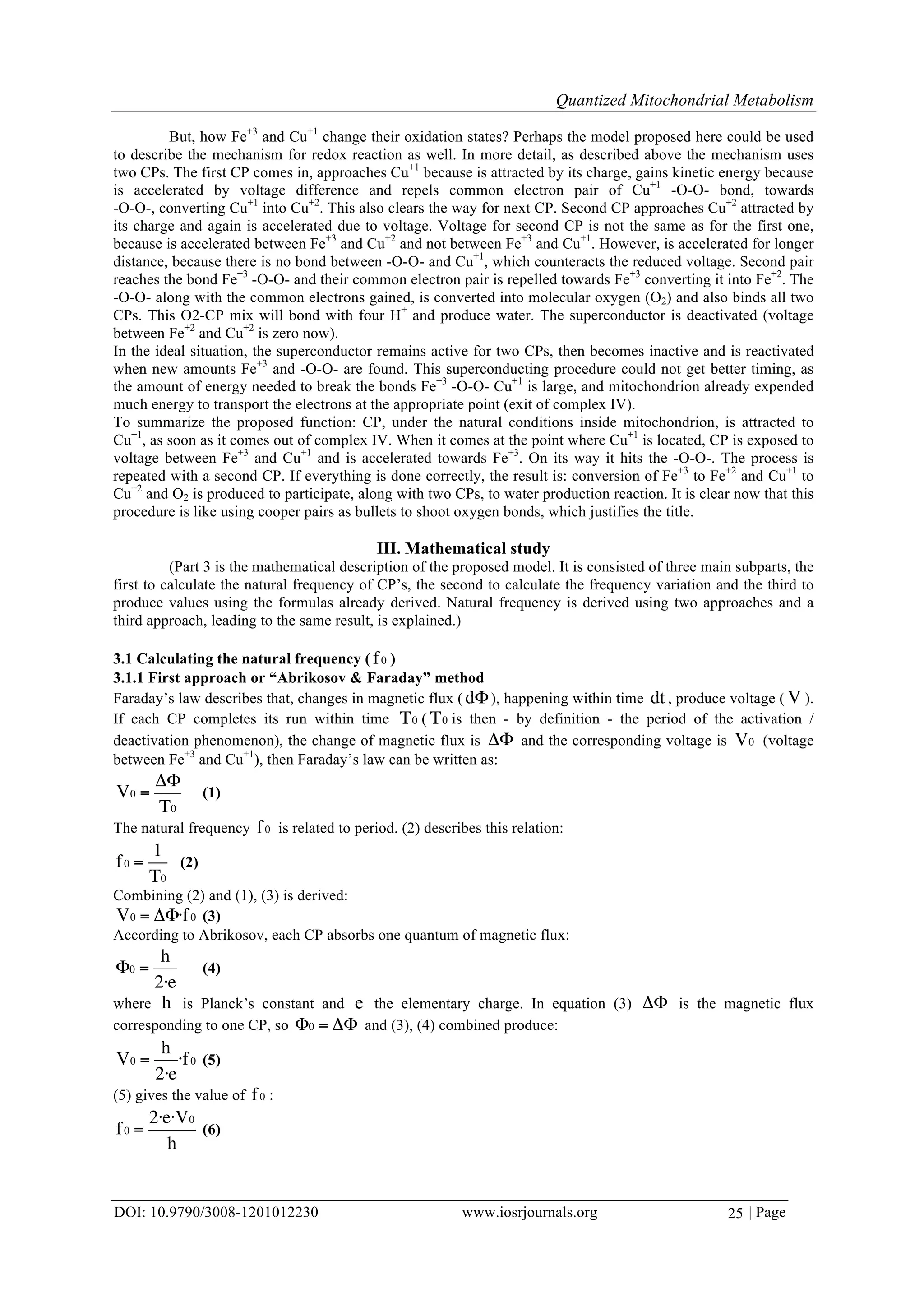 Quantized Mitochondrial Metabolism | PDF