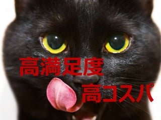 高満足度
高コスパ
 