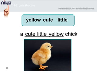 20
a _____________ chick
cute little
cute yellow
yellow
little
14-2 Let’s Practice
 