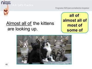 40
__________ the kittens
are looking up.
Almost all of
14-5 Let’s Practice
all of
almost all of
most of
some of
 