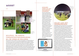 22 ♦ Raad van Beheer Houden van Honden Jaaroverzicht 2014 ♦ 23
Maart
VOLOP AAN HET
VOORBEREIDEN
Ogenschijnlijk is maart een maand waarin niet zo veel gebeurt,
maar schijn bedriegt… Maart staat bol van de activiteiten om
evenementen die later dit jaar zullen plaatsvinden voor te
bereiden. Zo zijn de voorbereidingen voor de Dag van de Hond
in volle gang. Alle leden, dierenartspraktijken en trimsalons
ontvangen een promotiepakket met een poster en flyers. Er
zijn banners en stoppers die gebruikt kunnen worden op de
website, in nieuwsbrieven of in het clubblad van verenigingen.
Locaties die deelnemen worden bekend gemaakt. En op 12
maart 2014 organiseert de Raad van Beheer de workshop ‘Kind
& Hond, samen plezier’ voor instructeurs zodat zij zich goed
op de Dag kunnen voorbereiden. Een maand eerder hebben
deelnemende verenigingen zich tijdens een informatieavond al
volop laten informeren en inspireren.
Animal Event is een ander evenement dat veel voorbereiding
vraagt. Tijdens Animal Event ondersteunt de Raad van
Beheer de promotie van rashonden door rasverenigingen.
Zo organiseren wij het rashondendefilé en faciliteren andere
demonstraties. Dit betekent dat er voorafgaand aan het
evenement veel afstemming nodig is tussen de Raad van
Beheer en de rasverenigingen, maar ook tussen de Raad
van Beheer en de organisatie van Animal Event. Voor veel
activiteiten beginnen de voorbereidingen vaak enkele
maanden tot ongeveer een jaar van tevoren. Soms starten de
voorbereidingen nog veel vroeger. Zo zijn de voorbereidingen
voor de World Dog Show 2018 al geruime tijd geleden gestart.
Alle pups en geïmporteerde
honden moeten ingeschreven
worden bij een door de overheid
aangewezen databank. Deze
registratie is wettelijk geregeld.
Databank Honden van de Raad
van Beheer is zo’n door de
overheid aangewezen databank.
Als extra service introduceert
de Raad van Beheer in maart
2014 de gratis ‘invulservice’.
Met de ‘invulservice’ worden
de nestgegevens automatisch
ingevuld in Databank Honden. De
nestgegevens zijn de gegevens
zoals die door de Raad van
Beheer in het Nederlands Honden
Stamboek zijn opgenomen.
De fokker hoeft dankzij de
‘invulservice’ niet meer alle
chipnummers, de namen van alle
pups en de gegevens van de
chipper in te voeren; die zijn alvast
ingevuld. Dat scheelt veel tijd, tijd
die nu aan de honden besteed
kan worden!
NIEUWE
SERVICE BIJ
DATABANK
HONDEN
MIJLPAAL: DE EERSTE
FOKGESCHIKTHEIDSKEURING
BIJ DE ENGELSE BULLDOG
Eind 2013 sloten de Raad van Beheer en de beide rasverenigingen van de Engelse Bulldog een
convenant af. In het convenant is een aantal regels vastgelegd waarmee de Raad van Beheer
en de rasverenigingen hopen de gezondheid en het welzijn van deze bulldoggen te verbeteren.
Een van de regels uit het convenant is dat alle dieren waarmee men wil fokken - ongeacht of
men lid is van een rasvereniging - eerst gekeurd moeten worden. Zo’n fokgeschiktheidskeuring
bestaat uit een conditietest, een patella luxatie-onderzoek en een exterieurkeuring. De eerste
fokgeschiktheidskeuring vindt plaats op 15 maart 2014 en wordt niet alleen door fokkers, maar ook
door vertegenwoordigers van het ministerie van Economische Zaken, de Koninklijke Nederlandse
Maatschappij voor Diergeneeskunde en de Hondenbescherming bezocht. Dat de keuring geen
wassen neus is, blijkt wel uit het feit dat op de eerste fokgeschiktheidskeuring niet alle honden
slagen voor de keuring.
Workshop voor
instructeurs bij KV
Nieuwegein ter
voorbereiding
op de Dag
van de
Hond.
De dierenarts
registreert het
verloop van de
hartslag.
De
conditietest
is onderdeel
van de
keuring.
 