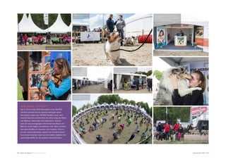 32 ♦ Raad van Beheer Houden van Honden Jaaroverzicht 2014 ♦ 33
ANIMAL EVENT
Op 2, 3 en 4 mei 2014 bezoeken ruim 30.000
mensen Animal Event. Samen brengen deze
bezoekers meer dan 10.000 honden mee, een
record! Op een evenement als deze mag de Raad
van Beheer natuurlijk niet ontbreken. Samen
met 25 rasverenigingen informeert de Raad van
Beheer deze dagen bezoekers over alles rondom
het aanschaffen en houden van honden. Ook is
er een rashondenpiste, waarin de hondenrassen
hun beste beentje voor kunnen zetten tijdens het
rashondendefilé en bij andere demonstraties.
Houden van
honden is
ook zichtbaar
bij de
rasvereniging.
Hondenrecordpoging
‘Hoepel Op’
De stands van de rasvereniging
voor specifieke rasinformatie.
Raspresentatie in de
hondenraspiste.
De ingang van het
rashondendorp
met meer dan 25
rasverenigingen.
Rashondendefilé in de grote piste.
Rashondendefilé in de grote piste.
De informatiestand van de Raad
van Beheer, centraal informatiepunt
waar pupkopers worden
doorverwezen naar de aangesloten
rasverenigingen.
 