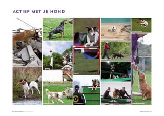 66 ♦ Raad van Beheer Houden van Honden Jaaroverzicht 2014 ♦ 67
ACTIEF MET JE HOND
REDDINGSHONDEN
WINDHONDENRENNEN EN COURSING
HONDENFRISBEE
HONDENOPVOEDINGAPPORTEREN
FLYBALL
SCHAPENDRIJVEN FCI OBEDIENCE
AGILITY
PAKWERK
WATERWERK
SHOW HANDLING
SPEUREN
 