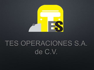 TES OPERACIONES S.A.
de C.V.
 
