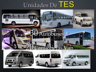 Unidades De TES
30Autobuses Y
20Camionetas Van
 