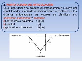 2. PUNTO O ZONA DE ARTICULACIÓN
Es el lugar donde se produce el estrechamiento o cierre del
canal fonador, mediante el acercamiento o contacto de los
órganos articuladores las vocales se clasifican en:
anteriores, posteriores y centrales.
a) anteriores o palatales : [i],[e]
b) central                  : [a]
c) posteriores o velares    : [u],[o]
 