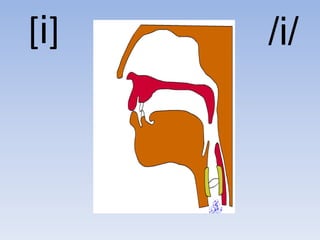 [i]   /i/
 