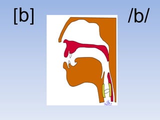 [b]   /b/
 