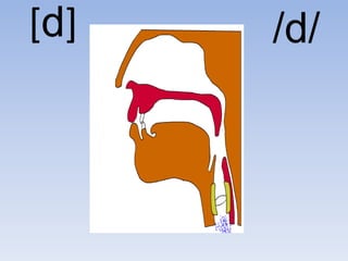 [d]   /d/
 