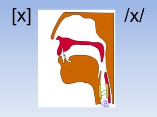 [x]   /x/
 