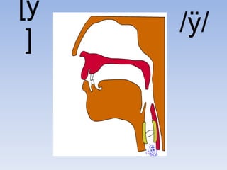 [ÿ
     /ÿ/
 ]
 
