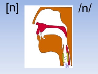 [n]   /n/
 