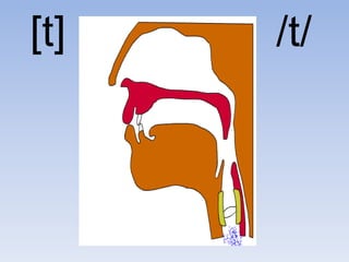 [t]   /t/
 