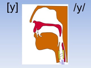 [y]   /y/
 