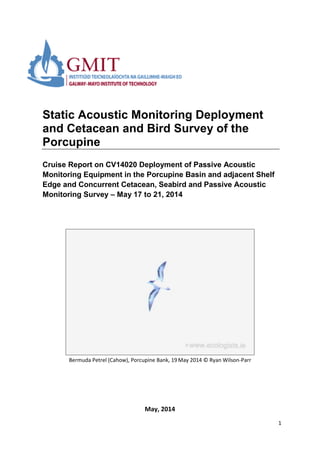1
Static Acoustic Monitoring Deployment
and Cetacean and Bird Survey of the
Porcupine
Cruise Report on CV14020 Deployment of Passive Acoustic
Monitoring Equipment in the Porcupine Basin and adjacent Shelf
Edge and Concurrent Cetacean, Seabird and Passive Acoustic
Monitoring Survey – May 17 to 21, 2014
Bermuda Petrel (Cahow), Porcupine Bank, 19 May 2014 © Ryan Wilson-Parr
May, 2014
 