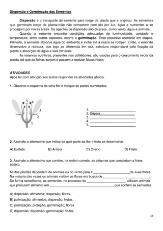 37
Dispersão e Germinação das Sementes
Dispersão é o transporte da semente para longe da planta que a originou. As sementes
que germinam longe da planta-mãe não competem com ela por luz, água e nutrientes e se
propagam por novas áreas. Os agentes de dispersão são diversos, como vento, água e animais.
Quando a semente encontra condições adequadas de luminosidade, umidade e
temperatura, entre outros aspectos, ocorre a germinação. Esse processo acontece em etapas.
Primeiro, a semente absorve água do ambiente e incha até a casca se romper. Então, o embrião
desenvolve a radícula, que logo se diferencia em raiz, estrutura responsável pela fixação da
planta e absorção de água e sais minerais.
As reservas nutritivas, presentes nos cotilédones, são usadas para o crescimento inicial da
planta até que as folhas surjam e passem a realizar fotossíntese.
ATIVIDADES
Após ler com atenção aos textos responder as atividades abaixo.
1. Observe o esquema de uma flor e indique as partes numeradas.
1. _________________________
2. Sépala___________________
3. _________________________
4. _________________________
5. _________________________
2. Assinale a alternativa que indica de qual parte da flor o fruto se desenvolve.
A) Estilete B) Antera C) Ovário D) Filete
3. Assinale a alternativa que contém, na ordem correta, as palavras que completam a frase
abaixo.
Muitas plantas dependem de animais ou do vento para a ____________________de suas flores.
Na maioria das vezes os animais visitam as flores em busca de __________________________.
De forma semelhante, as sementes, no processo de _____________________, utilizam animais
que procuram alimento em ___________________________________ que contêm as sementes
A) dispersão; alimentos; dispersão; flores.
B) polinização; alimentos; dispersão; frutos.
C) polinização; proteção; germinação; flores
D) dispersão; dispersão; germinação; frutos.
 