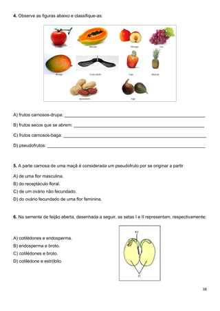 38
4. Observe as figuras abaixo e classifique-as:
A) frutos carnosos-drupa: _________________________________________________________
B) frutos secos que se abrem: _____________________________________________________
C) frutos carnosos-baga: __________________________________________________________
D) pseudofrutos: ________________________________________________________________
5. A parte carnosa de uma maçã é considerada um pseudofruto por se originar a partir
A) de uma flor masculina.
B) do receptáculo floral.
C) de um ovário não fecundado.
D) do ovário fecundado de uma flor feminina.
6. Na semente de feijão aberta, desenhada a seguir, as setas I e II representam, respectivamente:
A) cotilédones e endosperma.
B) endosperma e broto.
C) cotilédones e broto.
D) cotilédone e estróbilo.
 