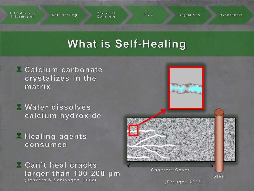 Next Generation SelfHealing ConcreteInfusing Bacteria into Engineer…