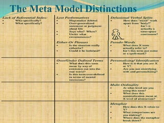 The Meta Model Distinctions
 
