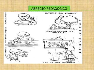 ASPECTO PEDAGOGICO
 