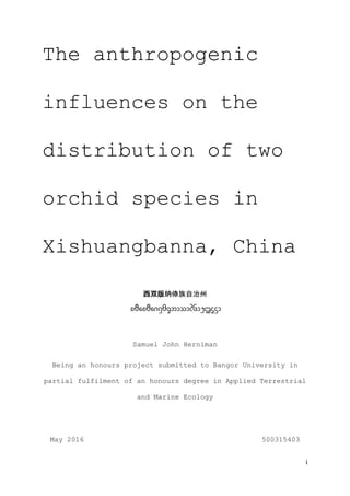 i
The anthropogenic
influences on the
distribution of two
orchid species in
Xishuangbanna, China
西双版纳傣族自治州
ᦈᦹᧈᦈᦹᧈᦋᦵᦲᧁᦘᦱᦉᦱᦑᦺ᧑᧒ᦗᧃᦓᦱ
Samuel John Herniman
Being an honours project submitted to Bangor University in
partial fulfilment of an honours degree in Applied Terrestrial
and Marine Ecology
May 2016 500315403
 