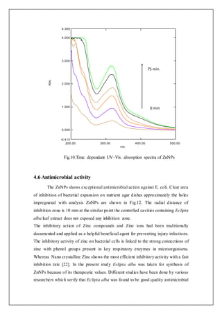 Fig.10.Time dependant UV–Vis. absorption spectra of ZnNPs
4.6 Antimicrobial activity
The ZnNPs shows exceptional antimicrobial action against E. coli. Clear area
of inhibition of bacterial expansion on nutrient agar dishes approximately the holes
impregnated with analysis ZnNPs are shown in Fig.12. The radial distance of
inhibition zone is 10 mm at the similar point the controlled cavities containing Eclipta
alba leaf extract does not exposed any inhibition zone.
The inhibitory action of Zinc compounds and Zinc ions had been traditionally
documented and applied as a helpful beneficial agent for preventing injury infections.
The inhibitory activity of zinc on bacterial cells is linked to the strong connections of
zinc with phenol groups present in key respiratory enzymes in microorganisms.
Whereas Nano crystalline Zinc shows the most efficient inhibitory activity with a fast
inhibition rate [22]. In the present study Eclipta alba was taken for synthesis of
ZnNPs because of its therapeutic values. Different studies have been done by various
researchers which verify that Eclipta alba was found to be good quality antimicrobial
nm.
200.00 300.00 400.00 500.00
Abs.
4.389
4.000
3.000
2.000
1.000
0.000
-0.415
0 min
75 min
 