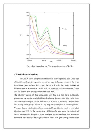 Fig.10.Time dependant UV–Vis. absorption spectra of ZnNPs
4.6 Antimicrobial activity
The ZnNPs shows exceptional antimicro...