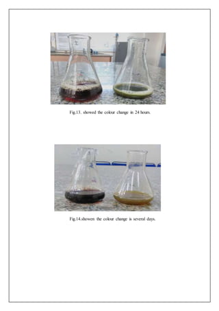 Fig.13. showed the colour change in 24 hours.
Fig.14.showen the colour change is several days.
 