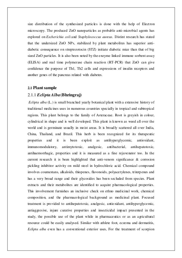 global health issues essay who top