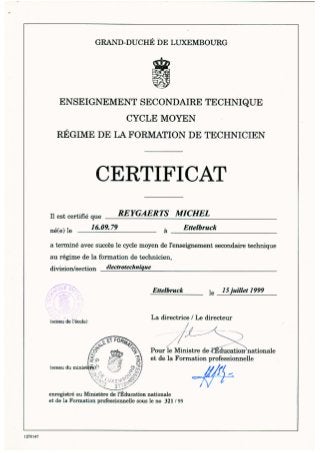 Certificat enseignement secondaire technique Cycle moyen Regime de la formation de technicien division electrotechnique