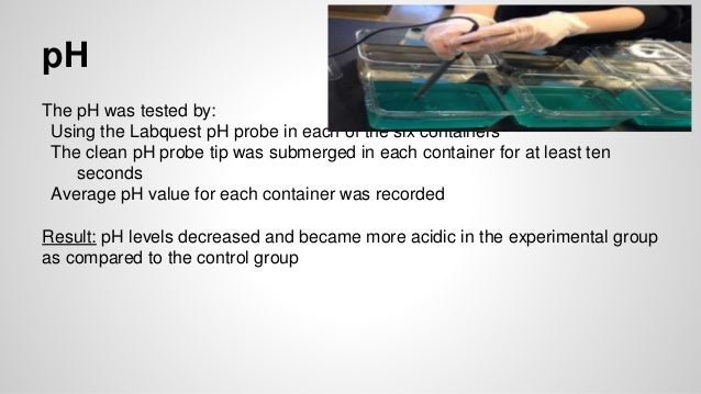 What Is In This Container A Capstone Experiment 35+ Pages Summary [810kb] - Latest Update 