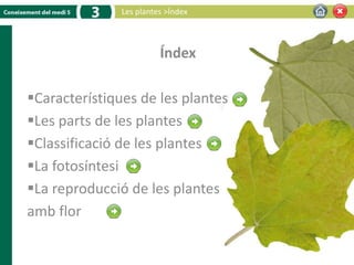 Les plantes >Índex



                         Índex

Característiques de les plantes
Les parts de les plantes
Classificació de les plantes
La fotosíntesi
La reproducció de les plantes
amb flor
 