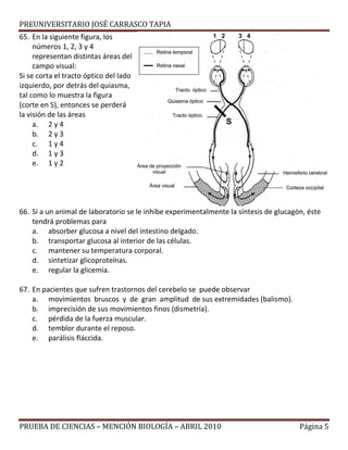 PREUNIVERSITARIO JOSÉ CARRASCO TAPIA
65. En la siguiente figura, los
números 1, 2, 3 y 4
representan distintas áreas del
campo visual:
Si se corta el tracto óptico del lado
izquierdo, por detrás del quiasma,
tal como lo muestra la figura
(corte en S), entonces se perderá
la visión de las áreas
a. 2 y 4
b. 2 y 3
c. 1 y 4
d. 1 y 3
e. 1 y 2
66. Si a un animal de laboratorio se le inhibe experimentalmente la síntesis de glucagón, éste
tendrá problemas para
a. absorber glucosa a nivel del intestino delgado.
b. transportar glucosa al interior de las células.
c. mantener su temperatura corporal.
d. sintetizar glicoproteínas.
e. regular la glicemia.
67. En pacientes que sufren trastornos del cerebelo se puede observar
a. movimientos bruscos y de gran amplitud de sus extremidades (balismo).
b. imprecisión de sus movimientos finos (dismetría).
c. pérdida de la fuerza muscular.
d. temblor durante el reposo.
e. parálisis fláccida.
PRUEBA DE CIENCIAS – MENCIÓN BIOLOGÍA – ABRIL 2010 Página 5