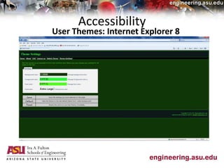 Accessibility
User Themes: Internet Explorer 8
 