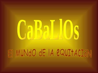 CaBaLlOs El MuNdO dE lA eQuItAcIóN 