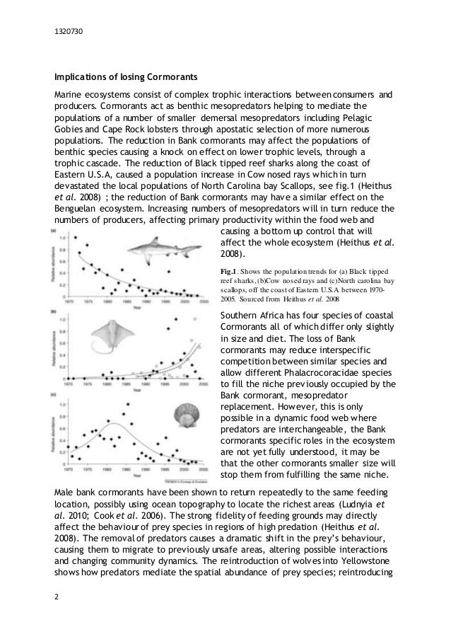 Example of a finished essay writing picture