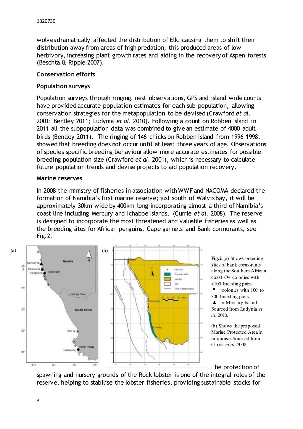 Free essay examples picture
