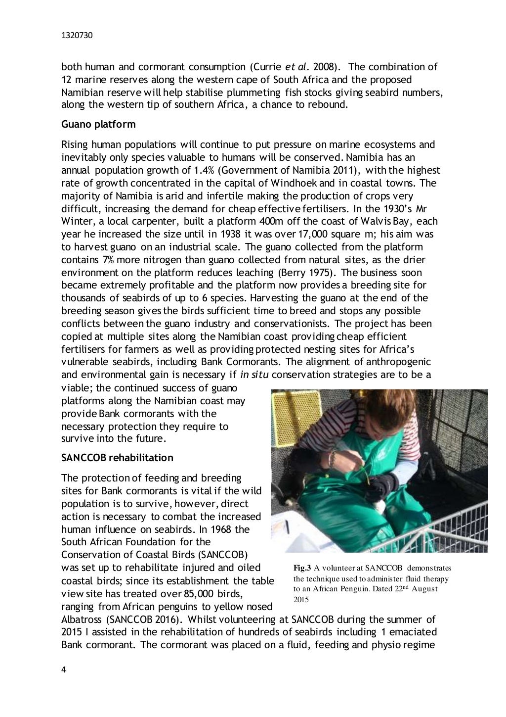 Samples of essay writing picture