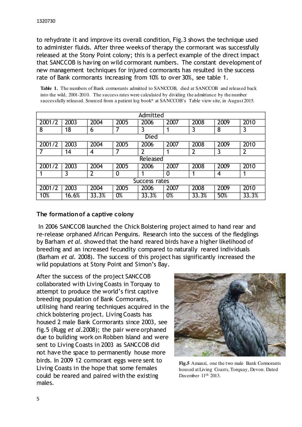 Thesis finished product picture