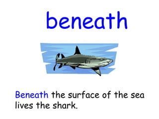 beneath
Beneath the surface of the sea
lives the shark.
 