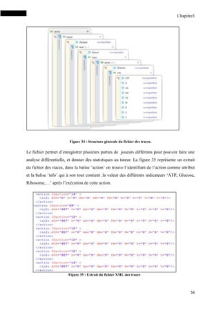 Chapitre3
56
Figure 34 : Structure générale du fichier des traces.
Le fichier permet d’enregistrer plusieurs parties de joueurs différents pour pouvoir faire une
analyse différentielle, et donner des statistiques au tuteur. La figure 35 représente un extrait
du fichier des traces, dans la balise ’action’ on trouve l’identifiant de l’action comme attribut
et la balise ‘info’ qui à son tour contient .la valeur des différents indicateurs ‘ATP, Glucose,
Ribosome,…’ après l’exécution de cette action.
Figure 35 : Extrait du fichier XML des traces
 