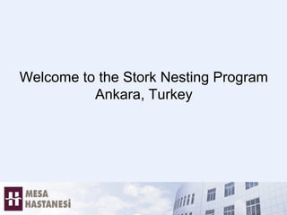 Welcome to the Stork Nesting Program
Ankara, Turkey
 