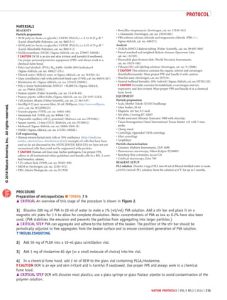 ©2014NatureAmerica,Inc.Allrightsreserved.
protocol
nature protocols | VOL.9 NO.2 | 2014 | 235
MATERIALS
REAGENTS
Particle preparation
50:50 poly(dl-lactic-co-glycolic)-COOH (PLGA), i.v. 0.15–0.25 g dl−1
(Lactel Absorbable Polymers, cat. no. B6013-1)
50/50 poly(dl-lactic-co-glycolic)-COOH (PLGA), i.v. 0.55–0.75 g dl−1
(Lactel Absorbable Polymers, cat. no. B6013-2)
Dichloromethane (DCM) (Sigma-Aldrich, cat. no. 270997-100ML)
! CAUTION DCM is an eye and skin irritant and harmful if swallowed.
Use proper personal protective equipment (PPE) and always work in a
chemical fume hood.
Poly(vinyl alcohol) (PVA), Mw 9,000–10,000, 80% hydrolyzed
(Sigma-Aldrich, cat. no. 360627-25G)
Filtered water (Milli-Q water or Sigma-Aldrich, cat. no. W4502-1L)
Glass scintillation vials with polyvinyl-lined caps (VWR, cat. no. 66010-267)
Rhodamine 6G (Sigma-Aldrich, cat. no. 252433-250MG)
Poly-l-lysine hydrochloride, MWCO >30,000 Da (Sigma-Aldrich,
cat. no. P9404-25MG)
Pasteur pipette (Fisher Scientific, cat. no. 13-678-4A)
Pasteur pipette rubber bulbs (Sigma-Aldrich, cat. no. Z111597-12EA)
Cell strainer, 40-µm (Fisher Scientific, cat. no. 22-363-547)
Steriflip 0.22-µm vacuum filter, 50 ml (Millipore, http://www.millipore.
com/, cat. no. SCGP00525)
Transfer pipette (VWR, cat. no. 16001-180)
Aluminum foil (VWR, cat. no. 89068-734)
Disposable capillary cell (ζ-potential) (Malvern, cat. no. DTS1061)
Square cuvette, 12 mm (DLS) (Malvern, cat. no. DTS0012)
Methanol (Sigma-Aldrich, cat. no. 34860-4X4L-R)
DMSO (Sigma-Aldrich, cat. no. 472301-100ML)
Cell engineering
Human mesenchymal stem cells at 70% confluence (http://medicine.
tamhsc.edu/irm/msc-distribution.html); examples of cells that have been
used so far are discussed in the ANTICIPATED RESULTS; we have not yet
encountered cells that could not be engineered with particles
! CAUTION Human cell lines may harbor pathogens. Use proper PPE,
adhere to all institutional ethics guidelines and handle cells in a BSL-2-certi-
fied biosafety cabinet.
T25 culture flask (VWR, cat. no. 29185-300)
MEM-α (Invitrogen, cat. no. 12561-072)
FBS (Atlanta Biologicals, cat. no. S11550)
•
•
•
•
•
•
•
•
•
•
•
•
•
•
•
•
•
•
•
•
•
•
Penicillin-streptomycin (Invitrogen, cat. no. 15140-163)
l-Glutamine (Invitrogen, cat. no. 25030-081)
PBS without calcium chloride and magnesium chloride (PBS−/−;
Sigma-Aldrich, cat. no. A00475)
Analysis
20-kDa-MWCO dialysis tubing (Fisher Scientific, cat. no. 08-607-068)
Paired standard and weighted dialysis closures (Spectrum Labs,
cat. no. 132749)
Fluorodish glass-bottom dish (World Precision Instruments,
cat. no. FD35-100)
Vybrant DiO cell-labeling solution (Invitrogen, cat. no. V-22886)
! CAUTION This solution contains the organic solvent and carcinogen
dimethylformamide. Wear proper PPE and handle it with caution.
Hoechst stain (Invitrogen, cat. no. H3570)
Neutral-buffered formalin, 10% (vol/vol) (Sigma-Aldrich, cat. no. HT501128)
! CAUTION Formalin contains formaldehyde, a carcinogen and eye,
respiratory and skin irritant. Wear proper PPE and handle it in a chemical
fume hood.
EQUIPMENT
Particle preparation
Scale, Mettler Toledo X5105 DualRange
Glass beaker, 50 ml
Magnetic stir bar, 0.5-inch
Stir plate, Corning PC-420D
Probe sonicator, Misonix Sonicator 3000 with microtip
Tissue homogenizer, Omni International Tissue Master 125 with 7-mm
probe
Clamp stand
Centrifuge, Eppendorf 5430 centrifuge
Mini-centrifuge
Lyophilizer
Particle characterization
Zetasizer, Malvern Instruments, ZEN 3690
Fluorescence microscope, Nikon Eclipse TE2000U
Benchtop flow cytometer, Accuri C6
Confocal microscope, Zeiss 700
REAGENT SETUP
PLL solution  Dissolve 4 mg of PLL into 40 ml of filtered distilled water to make
a 0.01% (wt/vol) PLL solution. Store the solution at 4 °C for up to 3 months.
•
•
•
•
•
•
•
•
•
•
•
•
•
•
•
•
•
•
•
•
•
•
•
PROCEDURE
Preparation of microparticles ● TIMING 7 h
 CRITICAL An overview of this stage of the procedure is shown in Figure 2.
1|	 Dissolve 200 mg of PVA in 20 ml of water to make a 1% (wt/vol) PVA solution. Add a stir bar and place it on a
magnetic stir plate for 1 h to allow for complete dissolution. Note: concentrations of PVA as low as 0.2% have also been
used. (PVA stabilizes the emulsion and prevents the particles from aggregating into larger particles.)
 CRITICAL STEP PVA can aggregate and adhere to the bottom of the beaker. The position of the stir bar should be
periodically adjusted to free aggregates from the beaker surface and to ensure consistent generation of PVA solution.
? TROUBLESHOOTING
2|	 Add 50 mg of PLGA into a 10-ml glass scintillation vial.
3|	 Add 1 mg of rhodamine 6G dye (or a small molecule of choice) into the vial.
4|	 In a chemical fume hood, add 2 ml of DCM to the glass vial containing PLGA/rhodamine.
! CAUTION DCM is an eye and skin irritant and is harmful if swallowed. Use proper PPE and always work in a chemical
fume hood.
 CRITICAL STEP DCM will dissolve most plastics; use a glass syringe or glass Pasteur pipette to avoid contamination of the
polymer solution.
 