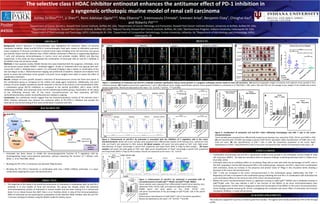 The selective class I HDAC inhibitor entinostat enhances the antitumor effect of PD-1 inhibition in
a syngeneic orthotopic murine model of renal cell carcinoma
Ashley Orillion*1,5,6, Li Shen*3, Remi Adelaiye-Ogala2,5,6, May Elbanna5,6, Sreenivasulu Chintala5, Sreevani Arisa5, Benjamin Elzey7, Chinghai Kao8,
and Roberto Pili4,5,6
1Department of Cancer Genetics, Roswell Park Cancer Institute, Buffalo NY, USA; 2Department of Cancer Pathology and Prevention, Roswell Park Cancer Institute Division, University at Buffalo, Buffalo NY, USA;
3Department of Medicine, Roswell Park Cancer Institute, Buffalo NY, USA; 4Adjunct Faculty, Roswell Park Cancer Institute, Buffalo, NY, USA; 5Genitourinary Program, Indiana University, Indianapolis IN, USA;
6Department of Pharmacology and Toxicology, IUPUI, Indianapolis IN, USA, 7Department of Comparative Pathobiology, Purdue University, Lafayette, IN, 8Department of Microbology and Immunology, IUPUI,
Indianapolis, IN
Background: Recent advances in immunotherapy have highlighted the antitumor effects of immune
checkpoint inhibition. Novel anti-PD-1/PD-L1 immunotherapies have been shown to effectively overcome
tumor avoidance of immune surveillance in several tumor types including renal cell carcinoma. Our group
has recently shown that the selective class I HDAC inhibitor entinostat is effective in suppressing regulatory
T cells and enhancing immunotherapies in murine renal and prostate models, RENCA and Myc-Cap
respectively. In this study we have evaluated the combination of entinostat with an anti-PD-1 antibody in
the RENCA renal cell carcinoma model.
Methods: In two separate studies, BALB/c female mice were implanted with the syngeneic, orthotopic, renal
cell carcinoma mouse model, RENCA – luciferase tagged – at day -8. Treatment (8-9 mice /group) with anti-
mouse-PD-1 (aPD-1; 10mg/kg twice a week, I.P.), entinostat (5mg/kg 5 days a week), or combination of the
two was begun at day 1. Bioluminescence imaging was performed at baseline, midpoint and endpoint time
points to assess the orthotopic tumor growth. End point tumor weights were taken to assess the effect of
combination treatment.
Results: Analysis of tumor growth showed a reduction of bioluminescence across the three time points in
the combination group as compared to the vehicle and single agent treatments. Additionally, end point
analysis of tumor weights revealed an overall reduction in the size of the tumors in the entinostat/anti-mPD-
1 combination group (83.2% inhibition) as compared to the vehicle (p<0.0001), aPD-1 alone (34.9%
inhibition)(p=0.0768), and entinostat alone (52.5% inhibition)(p=0.0015) groups. Examination of the status
of the infiltrating immune cells of the tumor microenvironment via flow cytometry, qRT-PCR,
immunohistochemistry, and/or immunofluorescence analysis is ongoing.
Conclusions: Our preliminary results suggest that the immunomodulatory activity of the selective class I
HDAC inhibitor entinostat may enhance the antitumor effect of PD-1/PD-L1 inhibition and provide the
rationale for the clinical testing of this novel combination in patients with RCC.
ABSTRACT
BACKGROUND
RESULTS
CONCLUSIONS
ACKNOWLEDGEMENTS
This study was supported in part by a research grant from Syndax. The agents were kindly provided by CTEP at NCI through
a MTA.
OBJECTIVE
• Combination of entinostat and anti-PD-1 significantly inhibits tumor growth in the orthotopic murine model of renal
cell carcinoma, RENCA. The data are consistent with our previous findings combining entinostat with IL-2 (Shen et al,
PLoS ONE, 2012).
• Entinostat alone has an inhibitory effect on circulating TReg cells as seen with both the percentage of FoxP3+ cells in
the CD4+ population and the MFI downward shift in the treated groups. However, anti-PD-1, alone and in combination
with entinostat, shows an increase in the presence and protein levels of TRegs in the circulation while showing a
decrease in the tumor microenvironment.
• CD8+ T cells are increased in the tumor microenvironment in the combination group. Additionally, the CD8+ : T-
Regulatory cell ratio is increased in the combination group indicating that anti-PD-1 in combination with entinostat has
a pro-stimulatory effect on the immune cells of the tumor microenvironment.
• Within the tumor microenvironment there is a significant increase in Ly6G+Ly6Clow MDSCs and a moderate increase in
Ly6ChighLy6G- cells. This may indicate a shift in the function of the MDSCs to be more immunostimulatory than
immunosuppressive. Further work is ongoing to assess the functionality of the MDSCs in the tumor microenvironment.
These findings provide reasoning for further investigating the combined anti-tumor effect of entinostat and immune
checkpoint inhibitors in renal cell carcinoma.
• The objective of this study is the preclinical assessment of entinostat in combination with an anti-PD-1
antibody in in vivo models of renal cell carcinoma. Our group has already shown the potential
immunomodulatory activity of entinostat in animal models and has been testing it in a clinical trial
(Kato Y et al. Clinical Cancer Res 2007; Shen L et al. PLoSOne 2012). In view of the immunomodulatory
effect of entinostat we are exploring the combination of this selective HDAC inhibitor with the anti-PD-
1 immune checkpoint inhibitor using the RENCA model for kidney cancer.
Poster
#4906
Figure 1. Combination of entinostat and anti-PD-1 antibody treatment significantly reduces tumor growth in a syngeneic orthotopic murine model of renal cell carcinoma. (A) Spectral topography images of baseline and endpoint tumor growth in four
treatment groups. (B) Endpoint tumors from experiments 1 and 2. (C) Endpoint tumor weight quantification (grams) Tumor growth inhibition is calculated as (1-TWt/TWc) x 100, where TWt and TWc are the average tumor weight of the treated and control
groups respectively. Results are expressed as the mean ± SE. *p<0.05, **p<0.01, ****p<0.0001.
Figure 2. Enhancement of anti-PD-1 by entinostat is associated with the inhibition of T regulatory cells in the tumor
microenvironment. Blood and tumor samples were prepared from differentially treated tumor-bearing mice, stained for CD4,
CD8, and FoxP3, and subjected to FACS analysis (A) Blood samples: Left panel: Dot plots gated on CD4+ cells. Right panel:
Quantification of Foxp3+ percentage in parent CD4+ population and Foxp3 levels (MFI) in Tregs by FACS analysis . (B) Tumor
samples: Left panel: Dot plots gated on CD4+ cells. Right panel: Quantification of Foxp3+ percentage in parent CD4+ population
and Foxp3 levels (MFI) in Tregs by FACS analysis. Results are expressed as the mean ± SE. *p<0.05
*p<0.05
** p<0.01
**** p<0.0001
Figure 3. Enhancement of anti-PD-1 by entinostat is associated with an
increased presence of Ly6G+Ly6CLow MDSCs and Ly6ChighLy6G- MDSCs.
Tumor samples were prepared from differentially treated tumor-bearing mice,
stained for CD45, CD11b, Ly6C, and Ly6G and subjected to FACS analysis.
Middle panel: Dot plots gated on live, CD45+ CD11b+ cells.
Left panel: Quantification of the percentage of Ly6ChighLy6G- cells in the parent
population.
Bottom panel: Quantification of Ly6G+Ly6Clow cells in the parent population.
Results are expressed as the mean ± SE. *p<0.05, **p<0.001
A B C
A
B
• Entinostat has been shown to inhibit the immunosuppressive function of T regulatory cells by
downregulating Foxp3 transcriptional expression, without impacting the function of T effector cells
(Shen, L., et al. PLoS ONE ,2012).
• Blocking the PD-1:PD-L1 interaction can decrease TReg function.
• Blocking the PD-1:PD-L1 interaction in combination with class I HDAC inhibitor, entinostat, is a novel
combination targeting the tumor microenvironment.
A
Figure 4. Combination of entinostat and anti-PD-1 alters infiltrating macrophages and CD8+ T cells in the tumor
microenvironment.
Tumor samples were prepared from differentially treated tumor-bearing mice, stained for CD45, CD11b, and F4/80 or CD8.
(A) Left: Quantification of F4/80+ percentage in parent CD45+CD11b+ population. Right: Quantification of F4/80+ cells in the
total cell count. (B) Left: Quantification of CD8+ T cells in total live lymphocyte population of the tumor. Right:
Quantification of CD8+ / Treg (CD4+FoxP3+) ratio in the tumor microenvironment. Results are expressed as the mean ± SE.
B
 