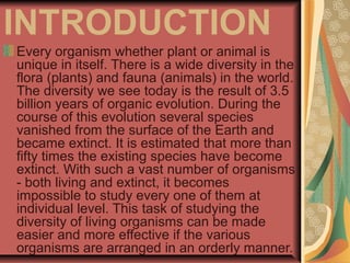  Diversity in living organisms.