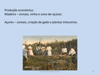 Produção económica:
Madeira – cereais, vinha e cana-de-açúcar;
Açores – cereais, criação de gado e plantas tintureiras.

E1 O expansionismo europeu

24

 
