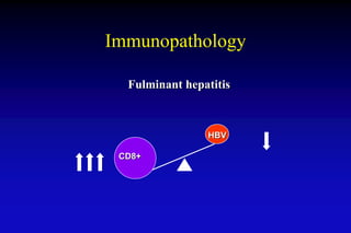 Immunopathology
Fulminant hepatitis
CD8+
HBV
 