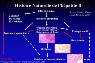 Histoire Naturelle de l’hépatite B
Infection aigue
Infection chronique
Tolérance immunitaire
Hépatite chronique
Portage inactif
Guérison
5% nx-nés
90% adultes
Virus sauvage (HBeAg+)
Mutant pre-core (HBeAg-)
Cirrhose
Carcinome hépatocellulaire
Réactivation
30-50 ans
Seeger, Zoulim, Mason;
Fields Virology; 2007
Seeger, Zoulim, Mason – Fields Virology 2007-2013
 