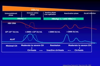 HBeAg(+) HBeAg(-) / anti-HBe(+)
ALAT
HBV DNA
Minimal CH Moderate to severe CH Moderate to severe CHRemission
Cirrhosis
Immunotolerant
phase
Immuno-active
phase
Inactive phase
Low replication
Reactivation phase
Cirrhosis
109-1012 IU/mL >2000-<109 IU/mL <2000 IU/mL >2000 IU/mL
Inactive cirrhosis
Adapted from Fattovich G. Sem Liver Dis. 2003
HBsAg
Occult infection
 